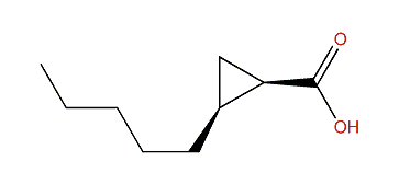 cis-2-Pentylcyclopropane-1-carboxylic acid